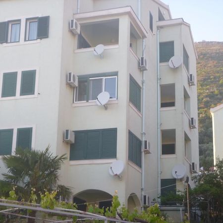 Apartman Ozi Petrovac Dış mekan fotoğraf