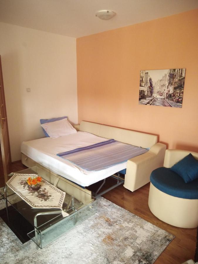 Apartman Ozi Petrovac Dış mekan fotoğraf