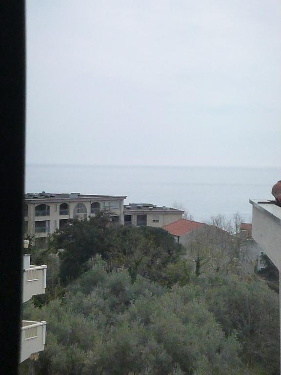Apartman Ozi Petrovac Dış mekan fotoğraf