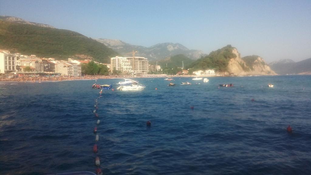 Apartman Ozi Petrovac Dış mekan fotoğraf