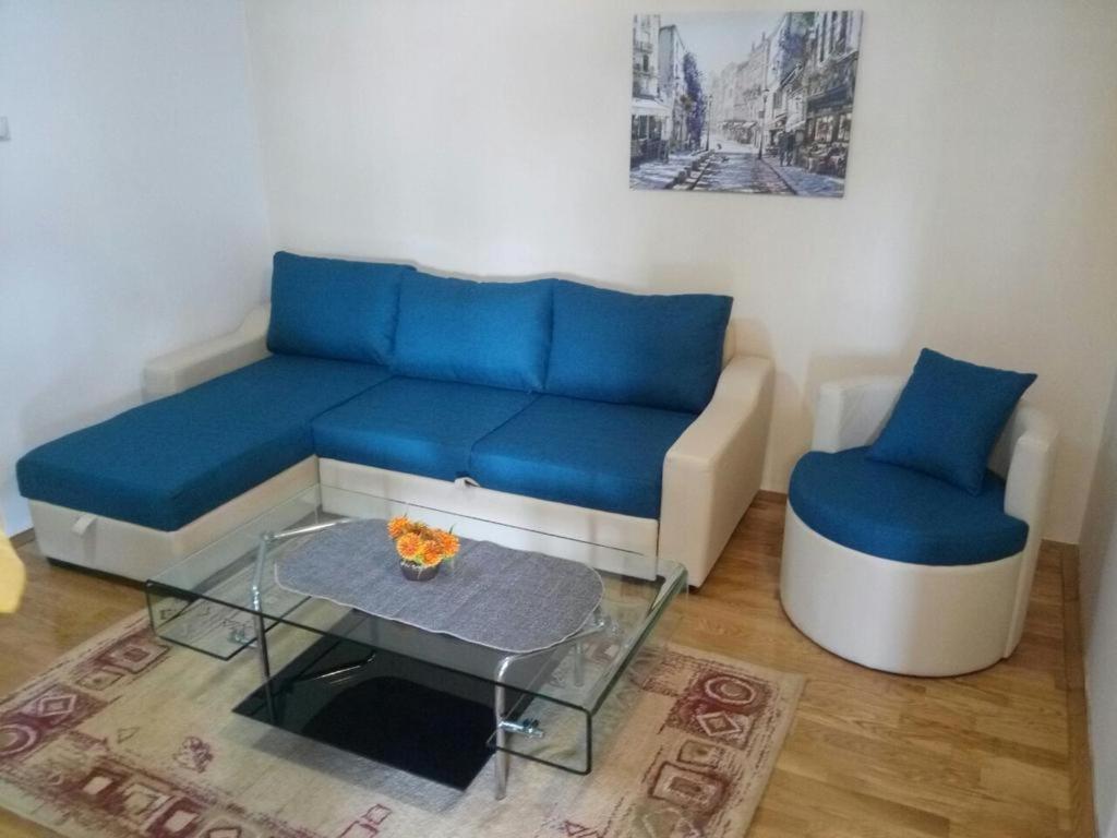 Apartman Ozi Petrovac Dış mekan fotoğraf